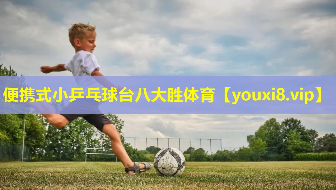便携式小乒乓球台八大胜体育