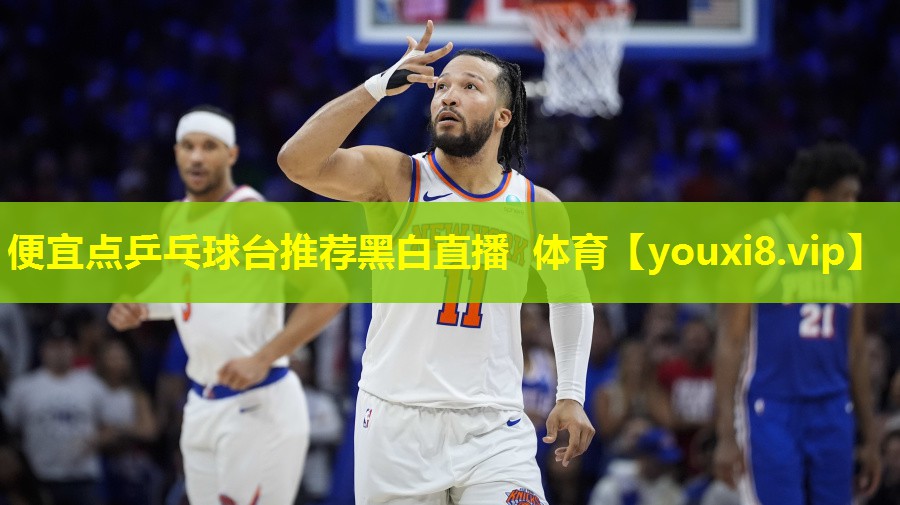 便宜点乒乓球台推荐黑白直播 体育