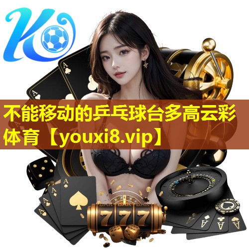 不能移动的乒乓球台多高云彩体育