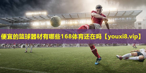 便宜的篮球器材有哪些168体育还在吗