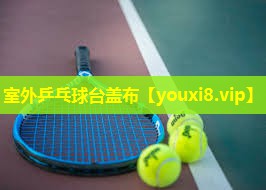 室外乒乓球台盖布 室外乒乓球台盖布