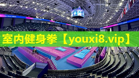 室内健身拳 室内健身拳
